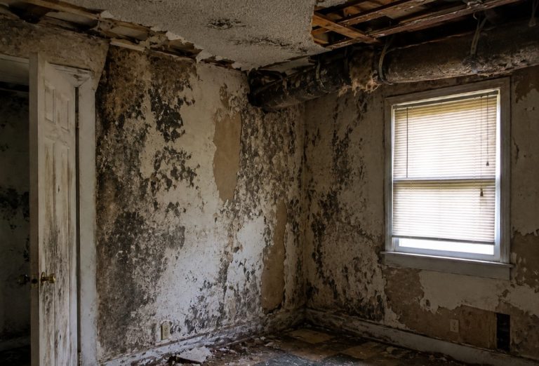 sell my house with asbestos alabama7